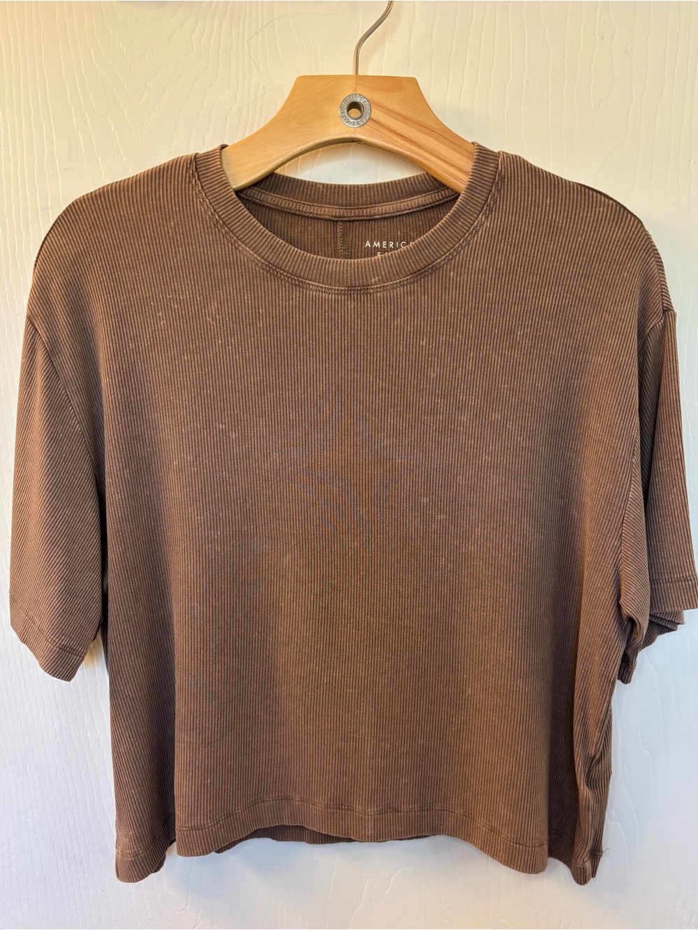 American Eagle Boxy Cropped Ribbed Tee
